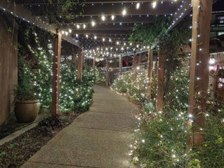 10 Different things to do with Fairy Lights in a beautifully lit pathway with fairy lights on trellis.