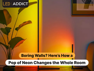 Boring Walls? Here’s How a Pop of Neon Changes the Whole Room
