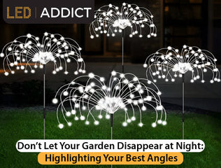 Don’t Let Your Garden Disappear at Night: Highlighting Your Best Angles