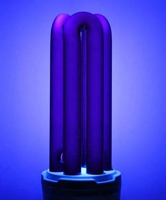 Ultraviolet fluorescent black light bulb with purple hue, designed for low energy use and long lifespan.
